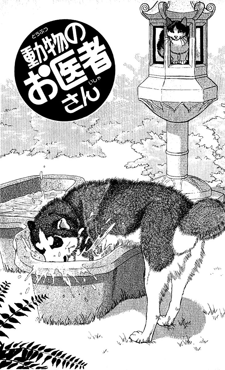 Doubutsu no Oishasan Chapter 75 page 3 - Chapter 75