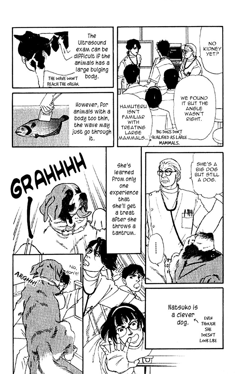 Doubutsu no Oishasan Chapter 76 page 12 - Chapter 76