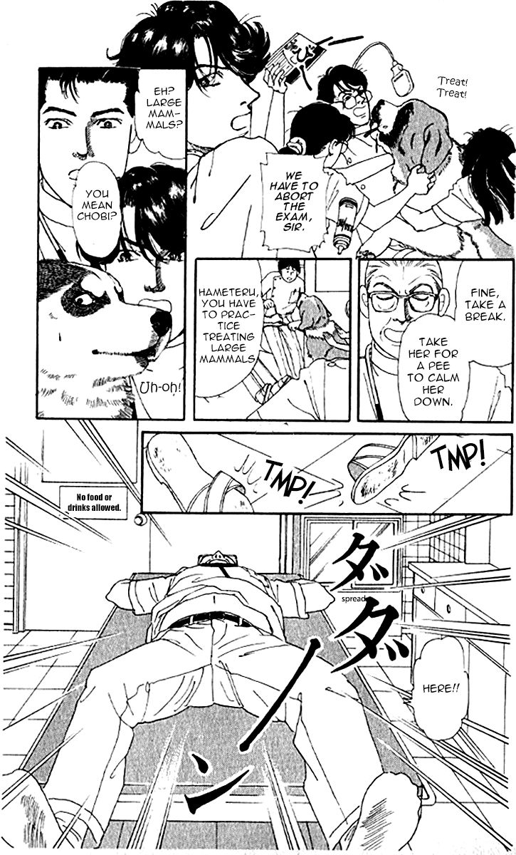Doubutsu no Oishasan Chapter 76 page 13 - Chapter 76