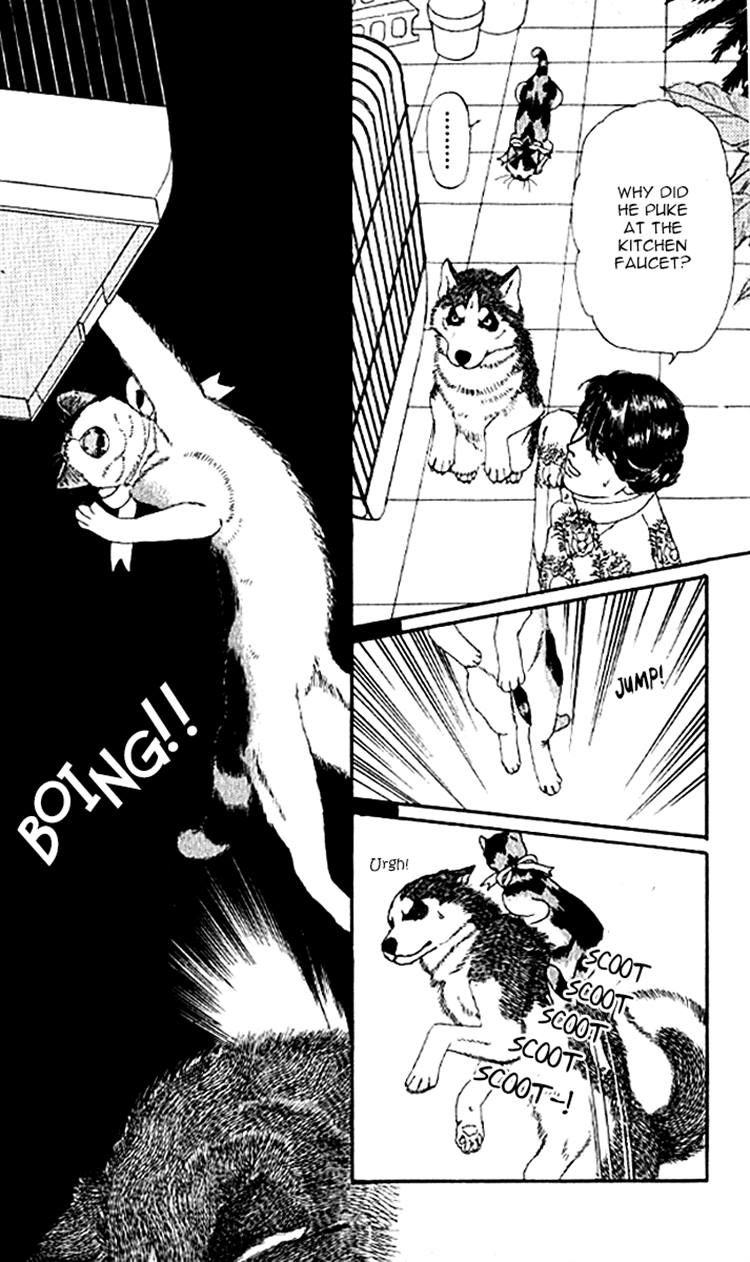 Doubutsu no Oishasan Chapter 78 page 14 - Chapter 78