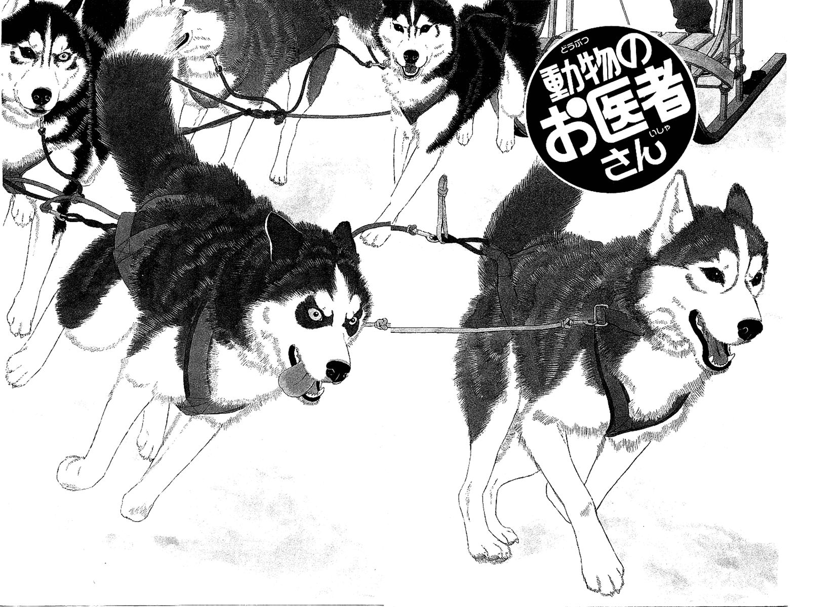 Doubutsu no Oishasan Chapter 85 page 3 - Chapter 85 : Vol 01