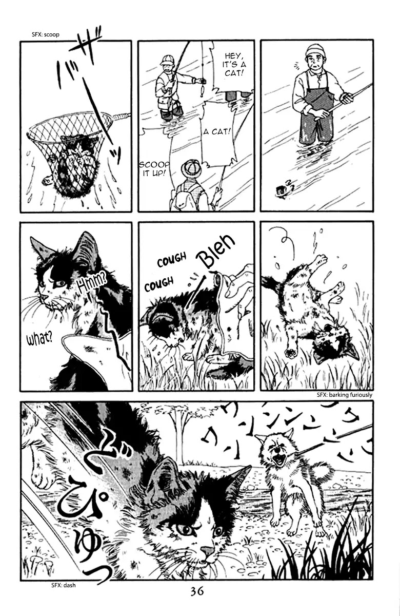 Doubutsu no Oishasan Chapter 92 page 15 - Chapter 92