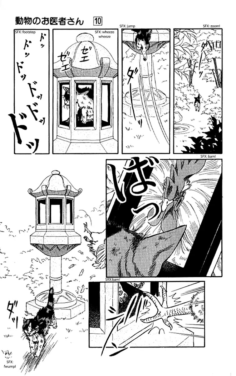 Doubutsu no Oishasan Chapter 92 page 16 - Chapter 92
