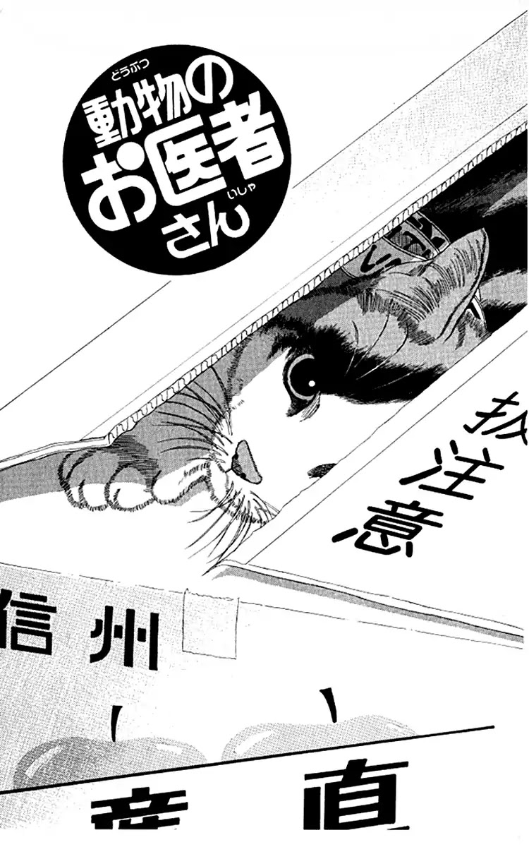 Doubutsu no Oishasan Chapter 92 page 2 - Chapter 92