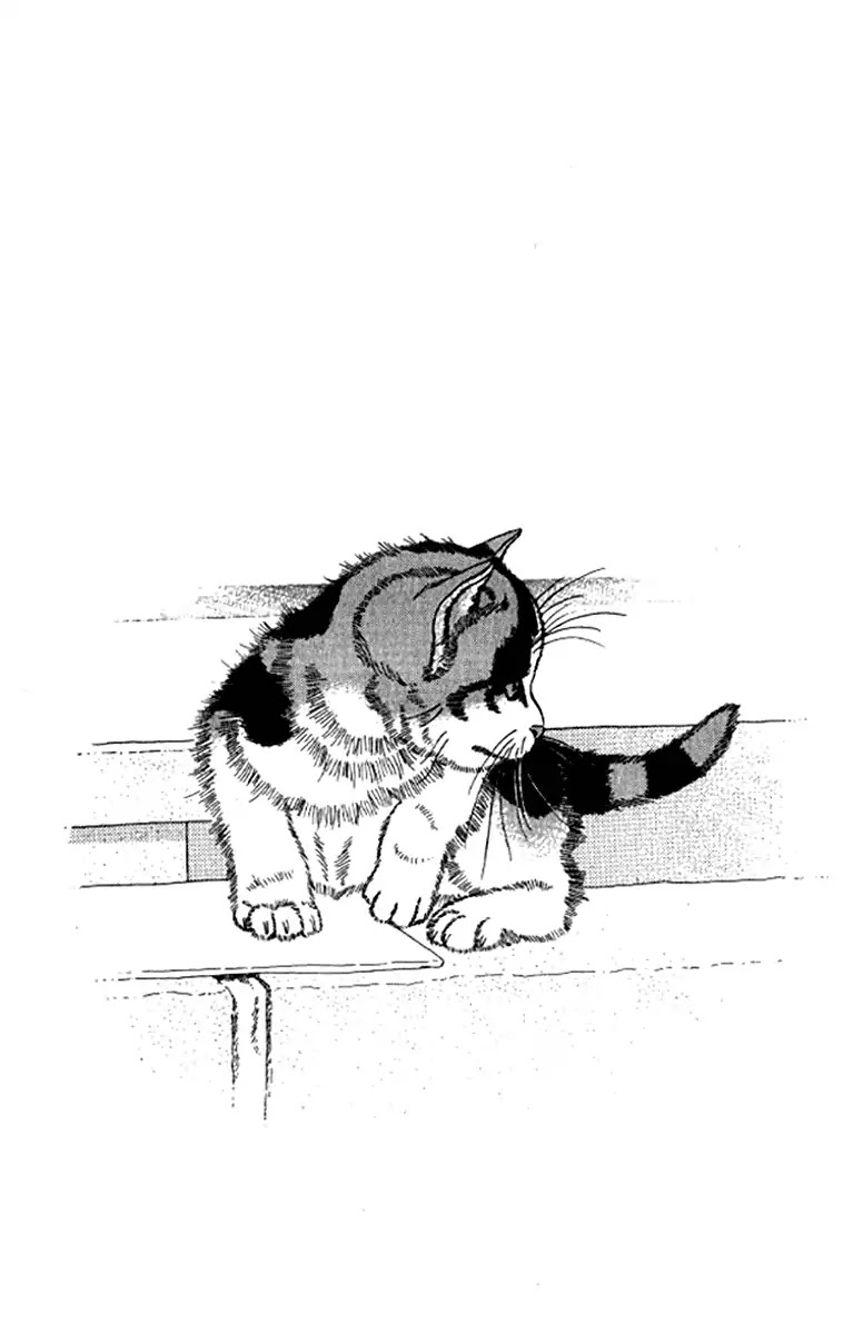 Doubutsu no Oishasan Chapter 92 page 20 - Chapter 92