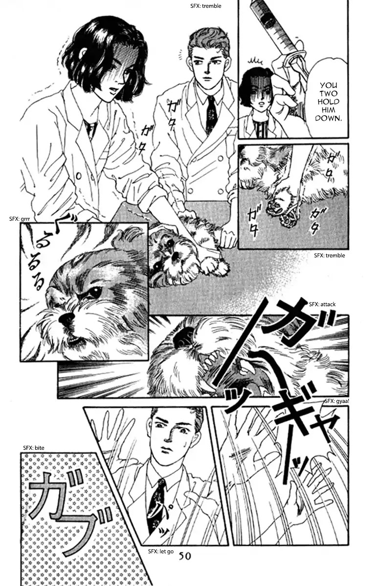 Doubutsu no Oishasan Chapter 93 page 10 - Chapter 93