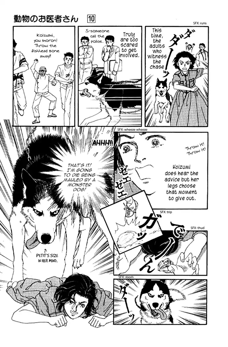 Doubutsu no Oishasan Chapter 93 page 19 - Chapter 93