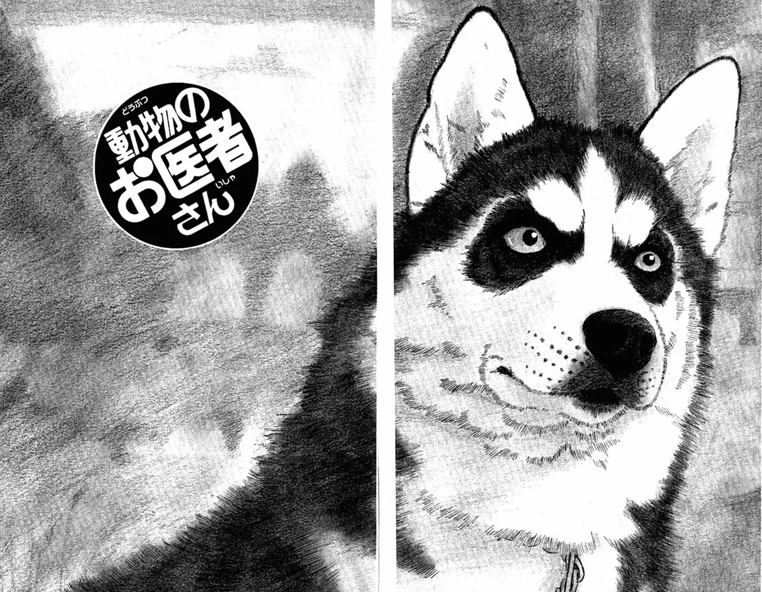 Doubutsu no Oishasan Chapter 93 page 3 - Chapter 93