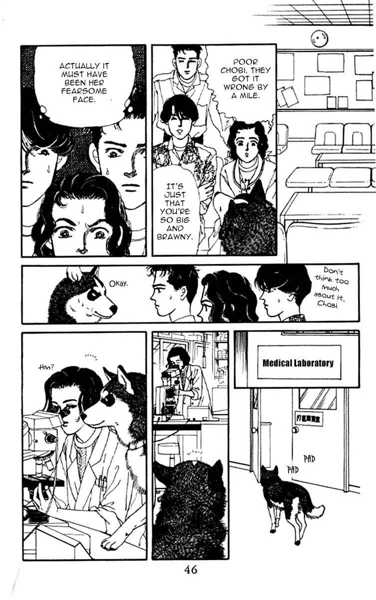 Doubutsu no Oishasan Chapter 93 page 6 - Chapter 93