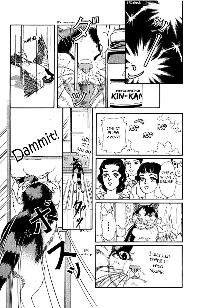 Doubutsu no Oishasan Chapter 96 page 17 - Chapter 96