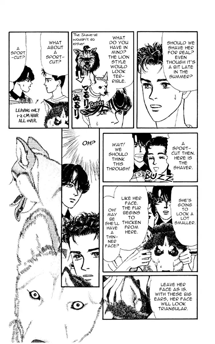 Doubutsu no Oishasan Chapter 97 page 13 - Chapter 97