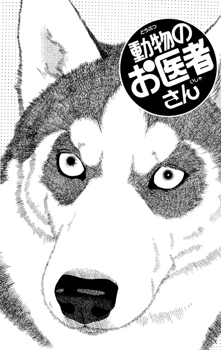 Doubutsu no Oishasan Chapter 97 page 2 - Chapter 97
