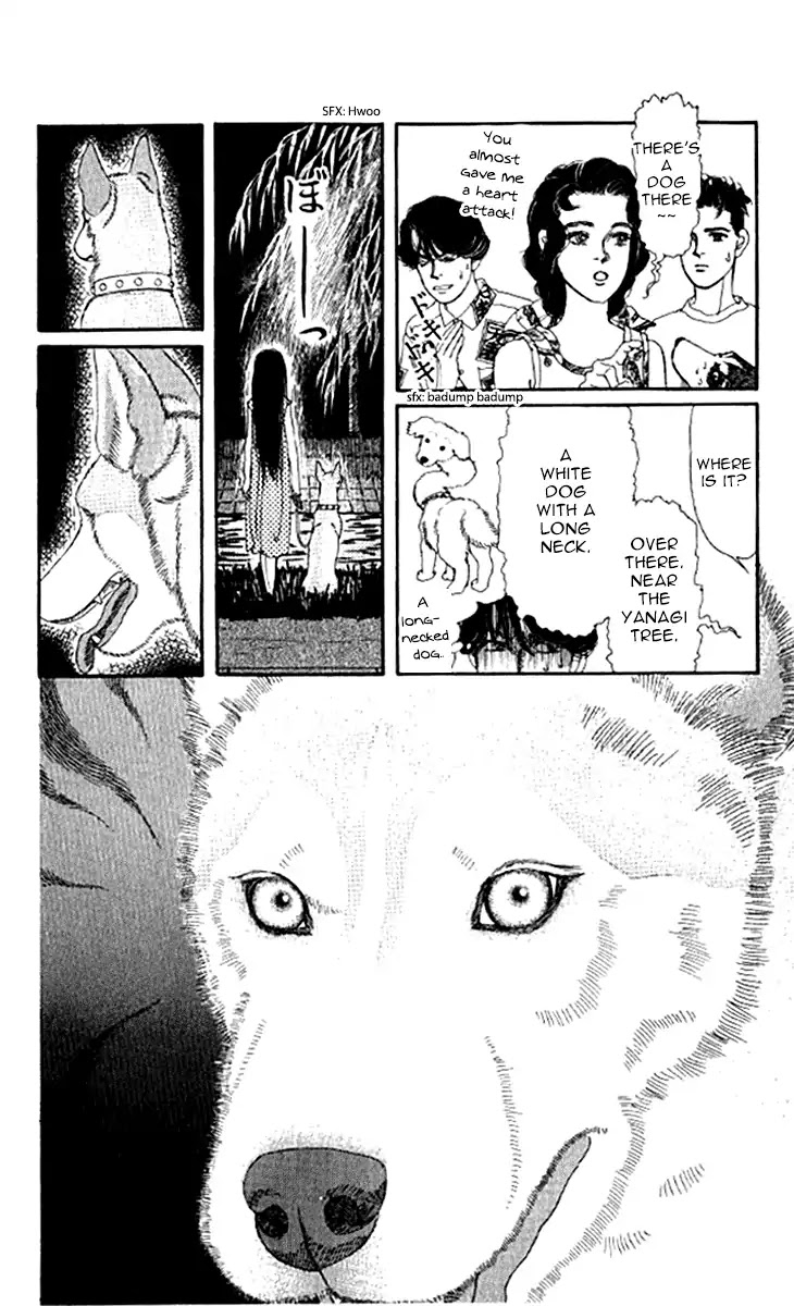 Doubutsu no Oishasan Chapter 97 page 5 - Chapter 97