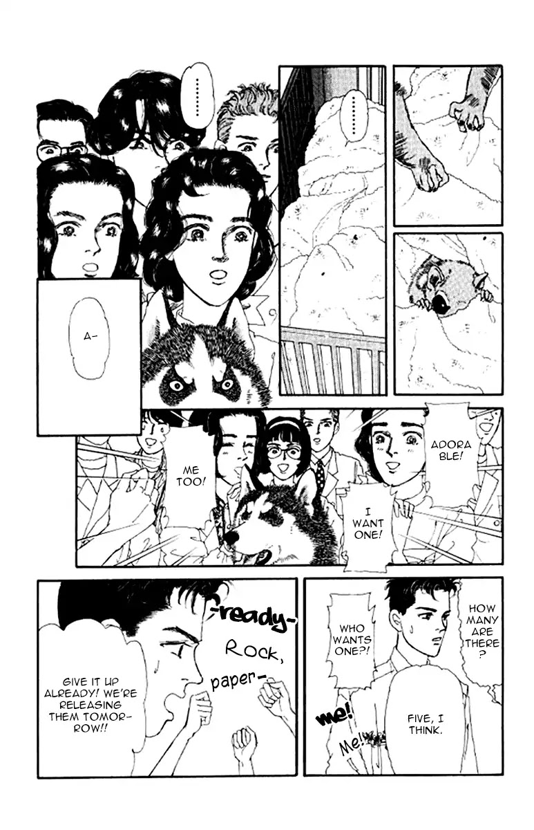 Doubutsu no Oishasan Chapter 98 page 6 - Chapter 98
