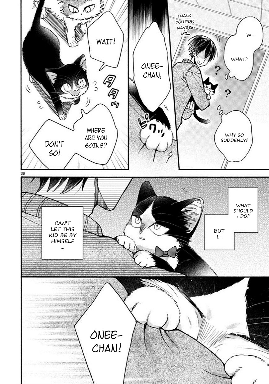 Doukyonin wa Hiza, Tokidoki, Atama no Ue. Chapter 10.5 page 13 - Chapter 10.5: Connections [Haru Edition]
