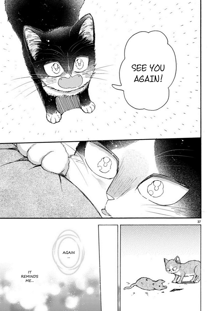 Doukyonin wa Hiza, Tokidoki, Atama no Ue. Chapter 10.5 page 14 - Chapter 10.5: Connections [Haru Edition]