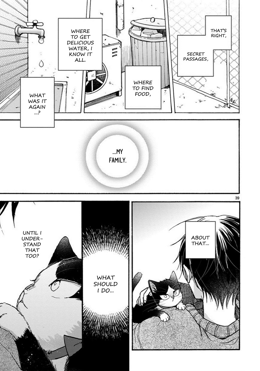 Doukyonin wa Hiza, Tokidoki, Atama no Ue. Chapter 10.5 page 16 - Chapter 10.5: Connections [Haru Edition]