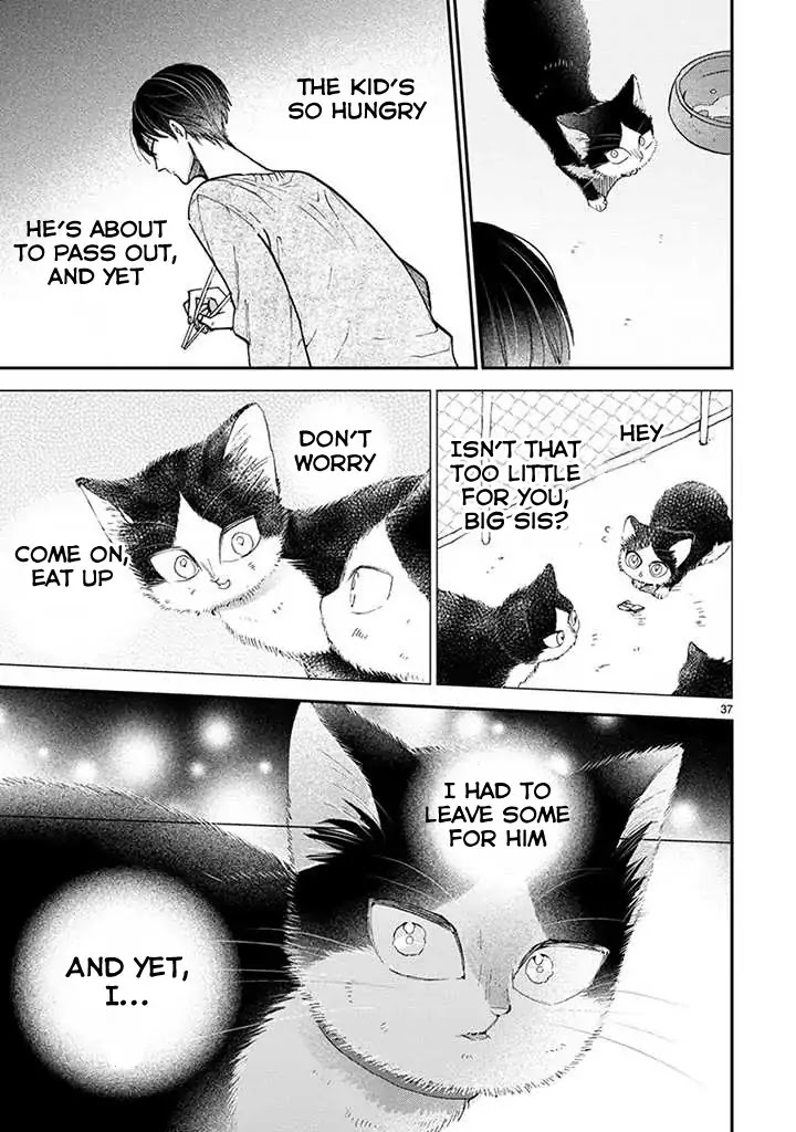 Doukyonin wa Hiza, Tokidoki, Atama no Ue. Chapter 14.2 page 10 - Chapter 14.2: Eating Together [Haru Edition]