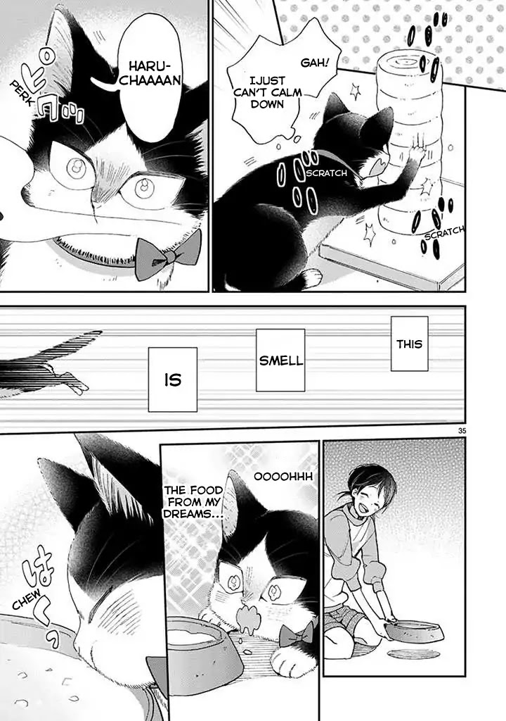 Doukyonin wa Hiza, Tokidoki, Atama no Ue. Chapter 14.2 page 8 - Chapter 14.2: Eating Together [Haru Edition]