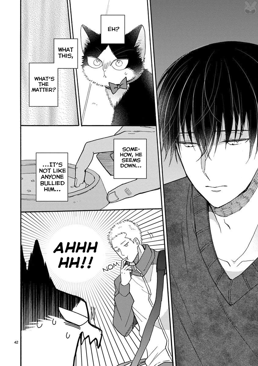 Doukyonin wa Hiza, Tokidoki, Atama no Ue. Chapter 15.2 page 11 - Chapter 15.2: You, me, and... [Haru Edition]