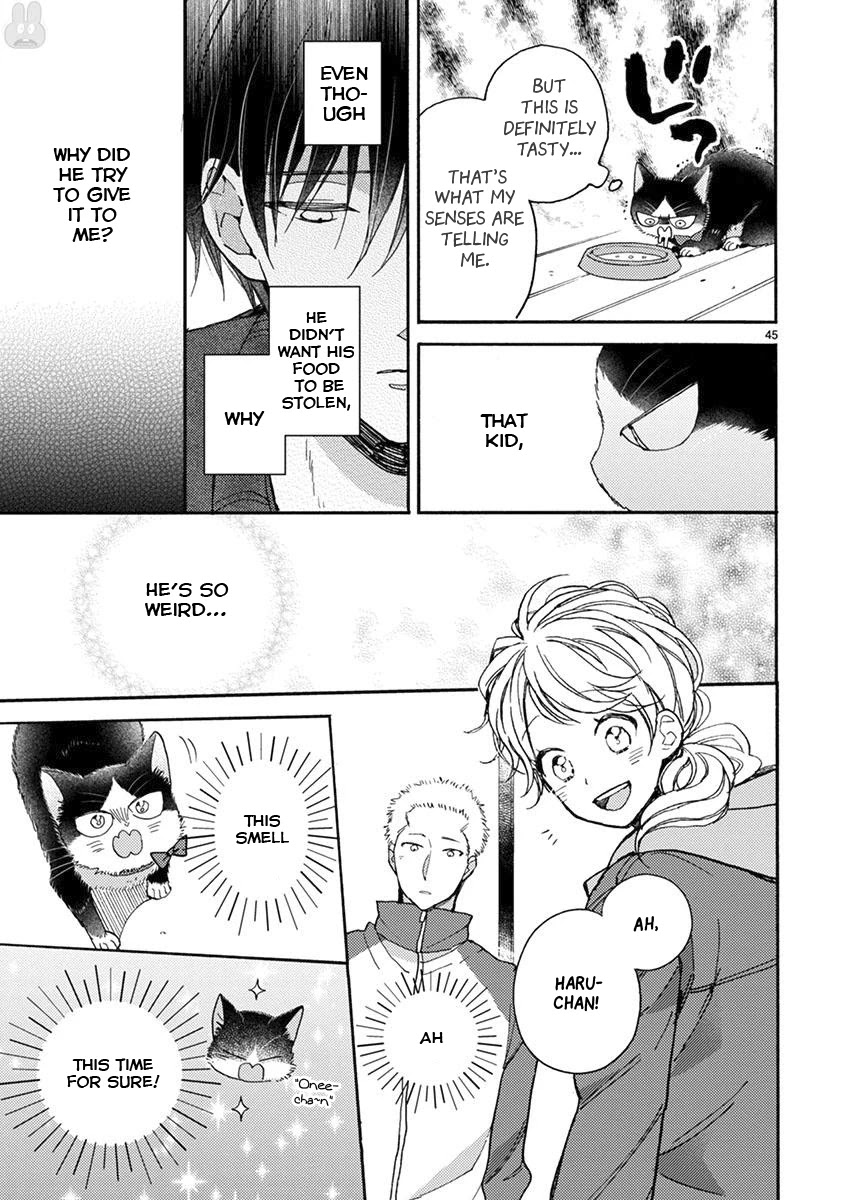 Doukyonin wa Hiza, Tokidoki, Atama no Ue. Chapter 15.2 page 14 - Chapter 15.2: You, me, and... [Haru Edition]