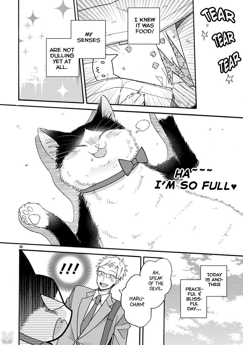Doukyonin wa Hiza, Tokidoki, Atama no Ue. Chapter 15.2 page 7 - Chapter 15.2: You, me, and... [Haru Edition]