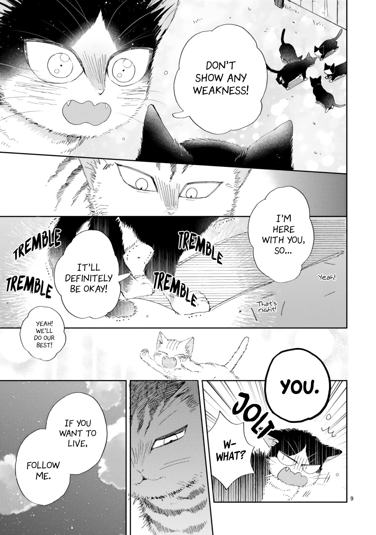 Doukyonin wa Hiza, Tokidoki, Atama no Ue. Chapter 16.2 page 11 - Chapter 16.2: About Some Things Before I Met You ① [Haru Edition]