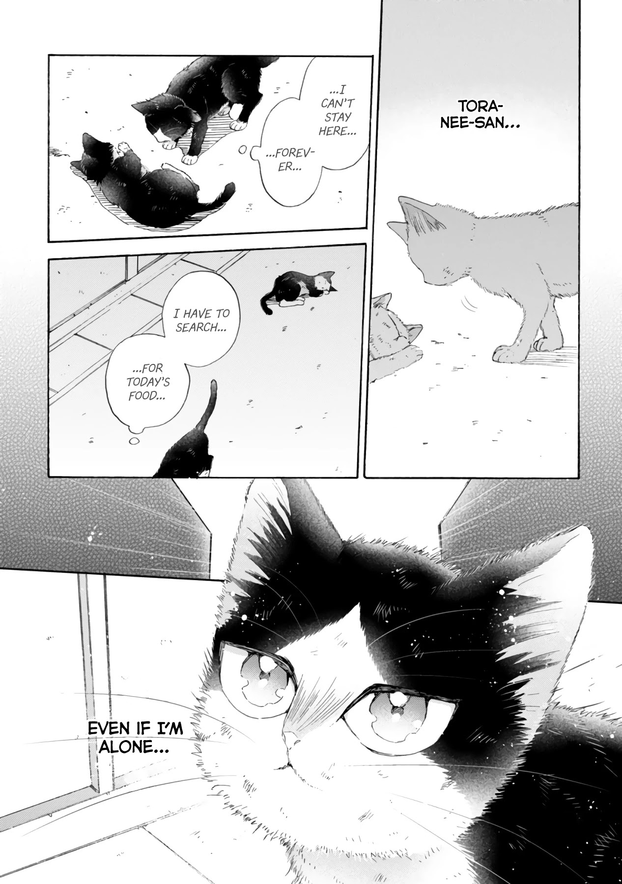 Doukyonin wa Hiza, Tokidoki, Atama no Ue. Chapter 16.3 page 16 - Chapter 16.3: Me Before I Met You 2 [Haru Edition]