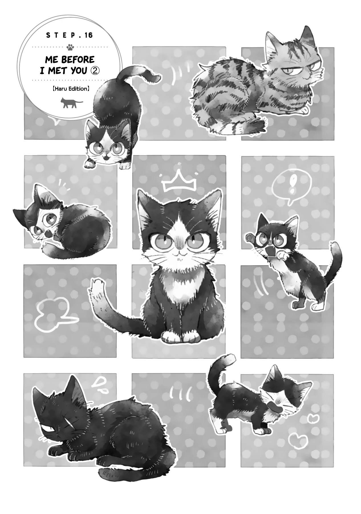 Doukyonin wa Hiza, Tokidoki, Atama no Ue. Chapter 16.3 page 3 - Chapter 16.3: Me Before I Met You 2 [Haru Edition]