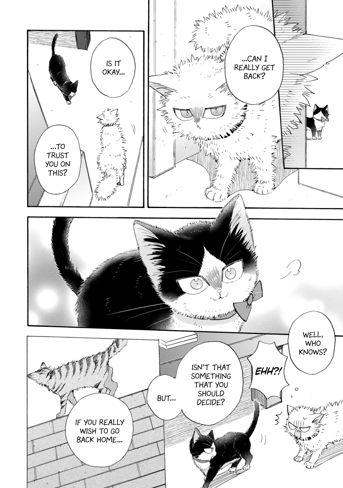 Doukyonin wa Hiza, Tokidoki, Atama no Ue. Chapter 17.2 page 14 - Chapter 17.2: Together With You [Haru Edition]