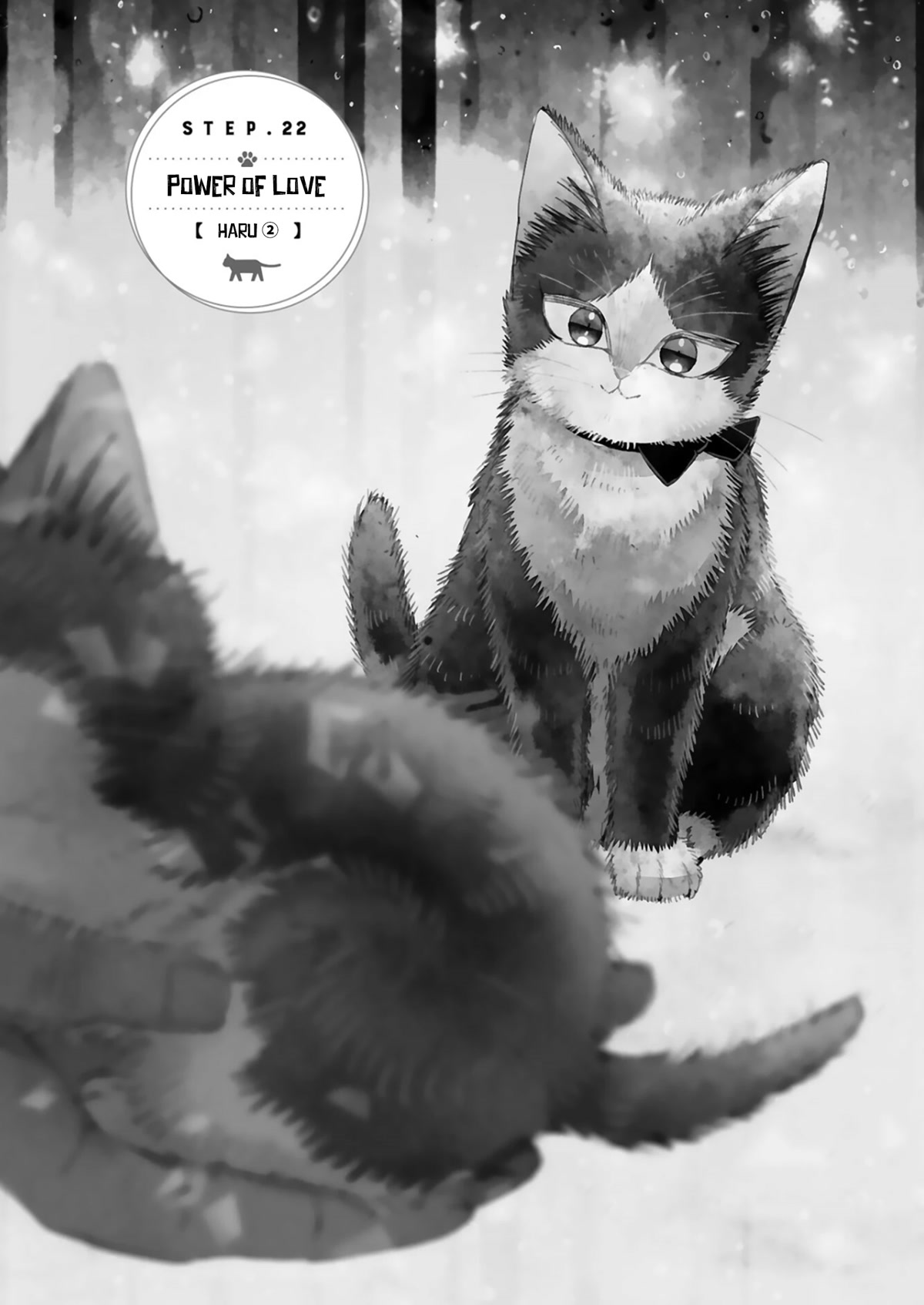 Doukyonin wa Hiza, Tokidoki, Atama no Ue. Chapter 22.4 page 1 - Chapter 22.4: Power of Love [Haru ②]