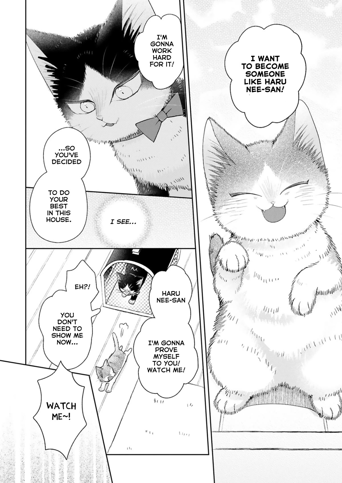 Doukyonin wa Hiza, Tokidoki, Atama no Ue. Chapter 22.4 page 9 - Chapter 22.4: Power of Love [Haru ②]