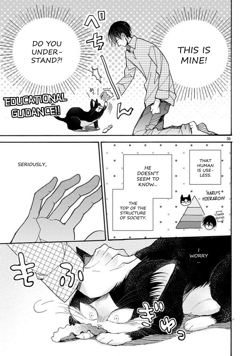 Doukyonin wa Hiza, Tokidoki, Atama no Ue. Chapter 3.5 page 10 - Chapter 3.5: Petting You [Haru Edition]