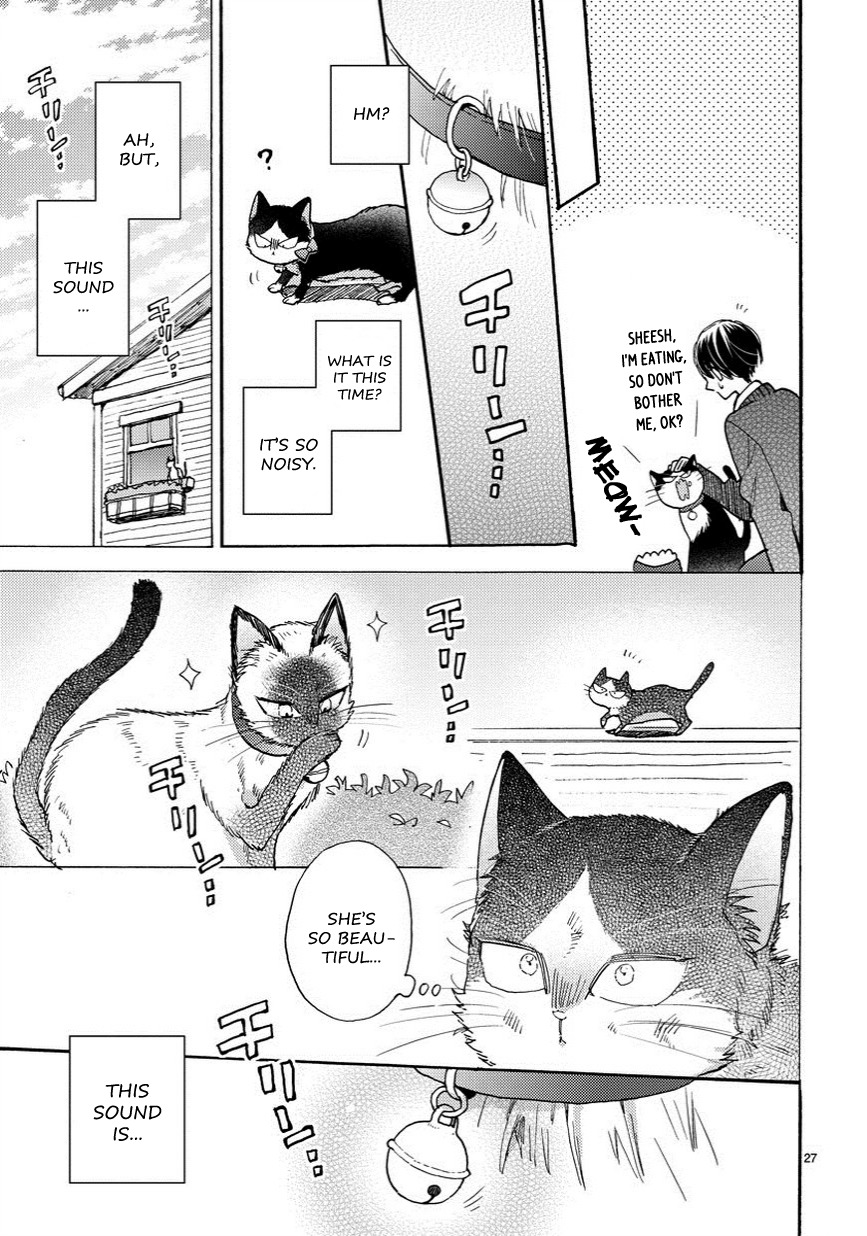 Doukyonin wa Hiza, Tokidoki, Atama no Ue. Chapter 6.5 page 8 - Chapter 6.5: Thinking of You [Haru Edition]