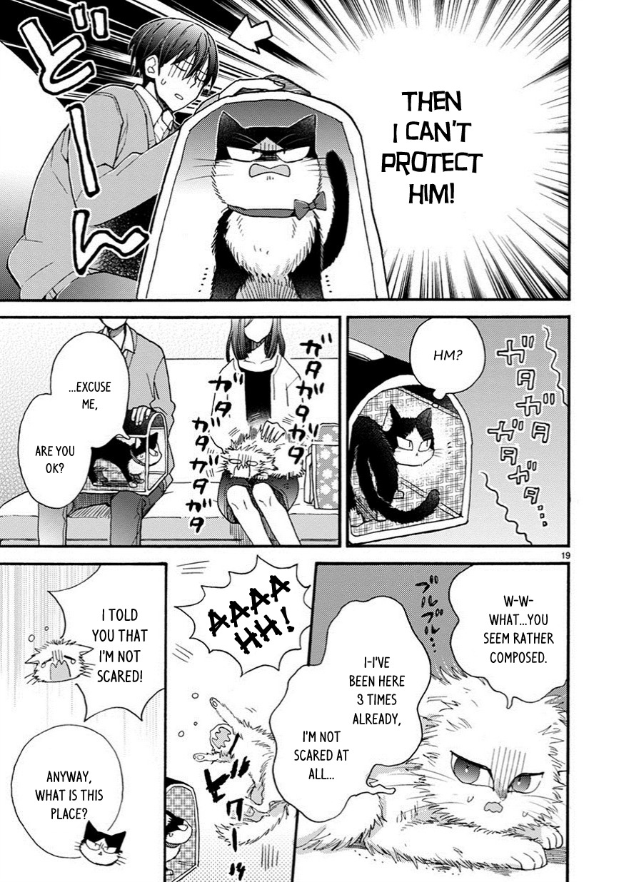 Doukyonin wa Hiza, Tokidoki, Atama no Ue. Chapter 7.5 page 4 - Chapter 7.5: For Your Sake [Haru Edition]