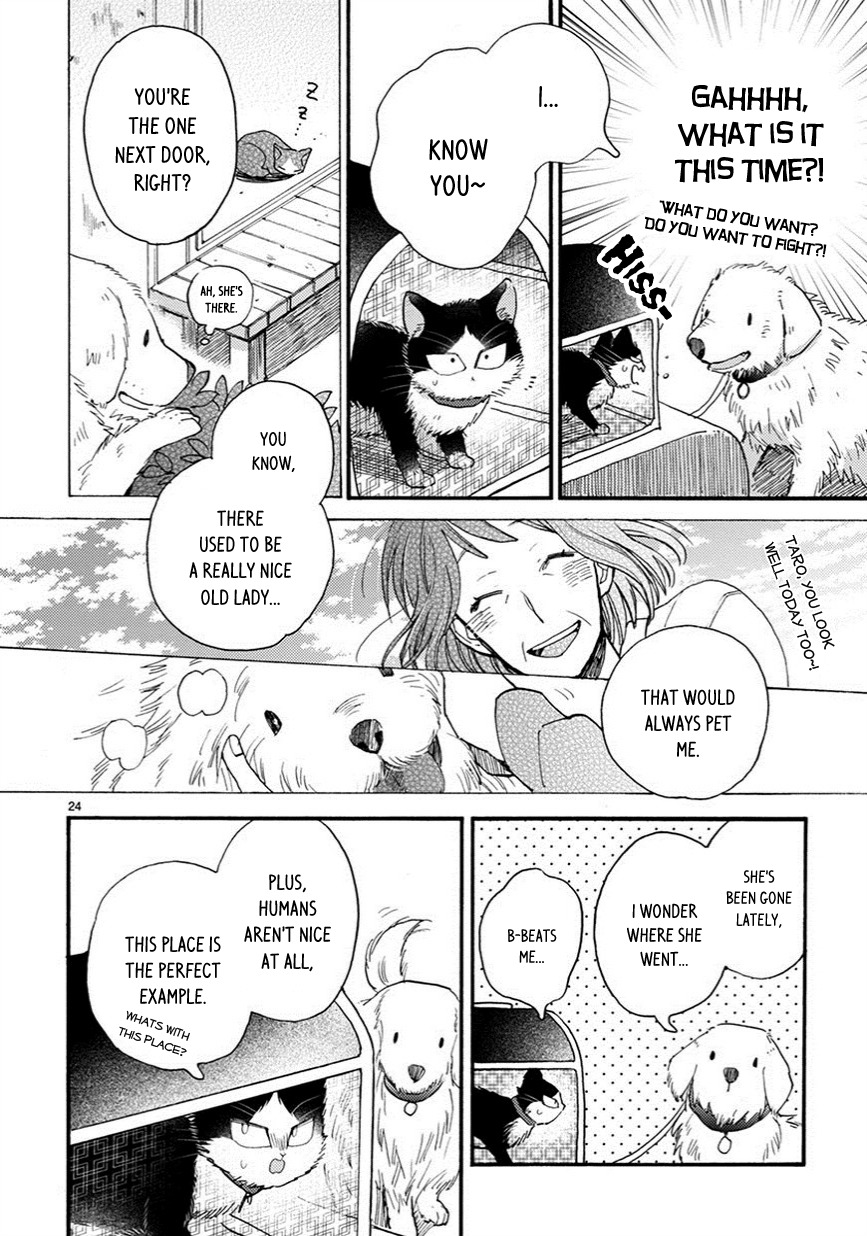 Doukyonin wa Hiza, Tokidoki, Atama no Ue. Chapter 7.5 page 9 - Chapter 7.5: For Your Sake [Haru Edition]