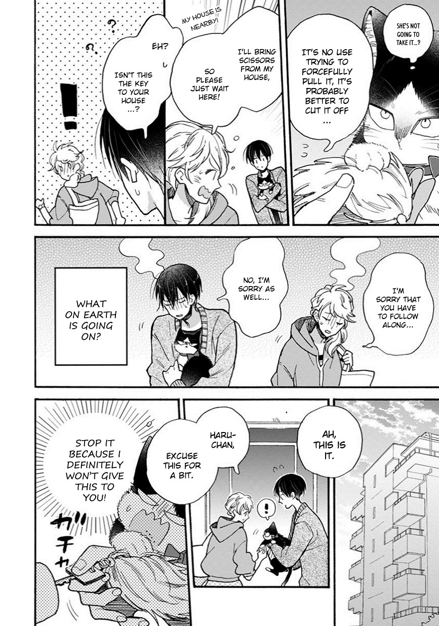 Doukyonin wa Hiza, Tokidoki, Atama no Ue. Chapter 8.5 page 15 - Chapter 8.5: Reciprocated Thoughts [Haru Edition]
