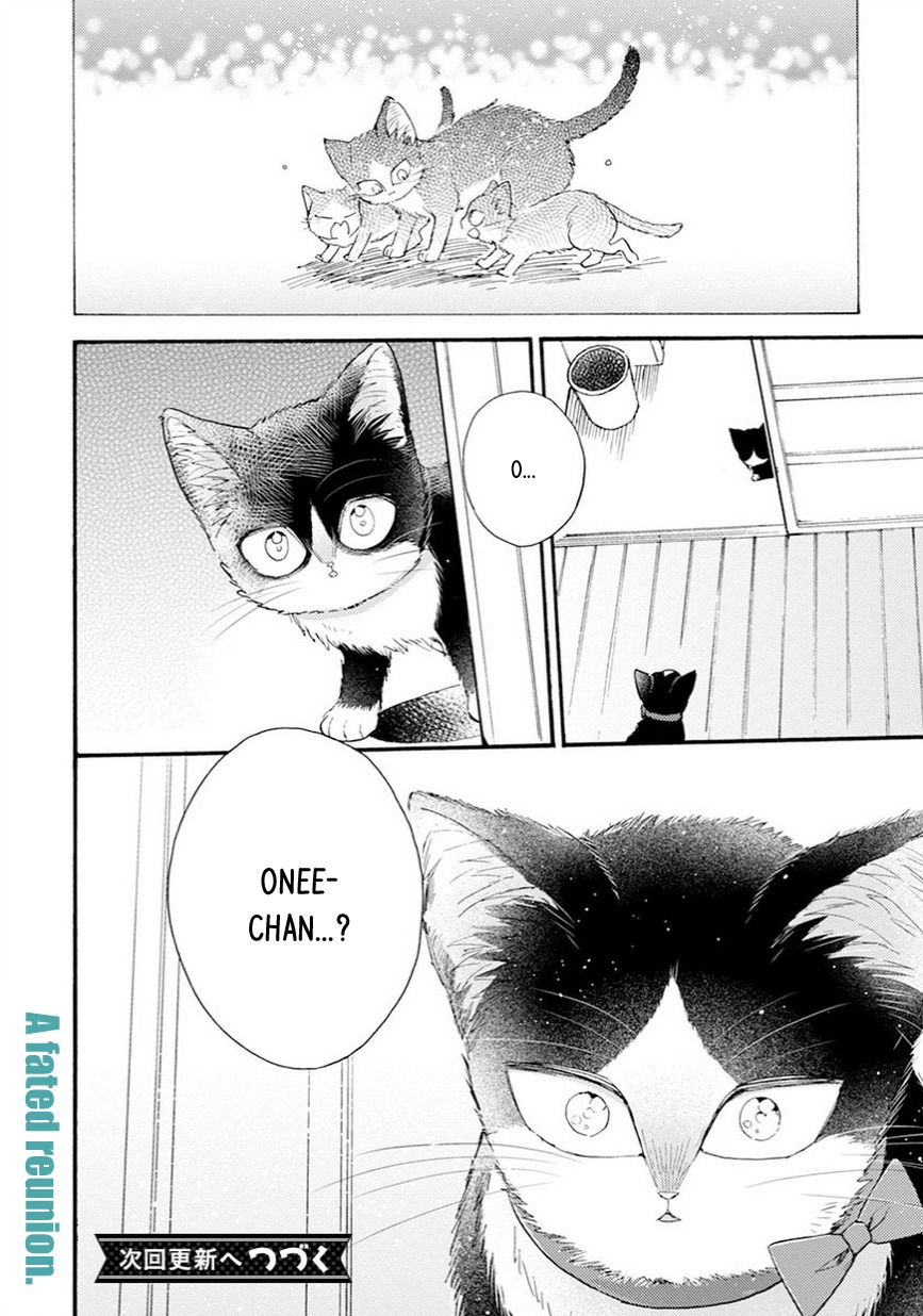 Doukyonin wa Hiza, Tokidoki, Atama no Ue. Chapter 8.5 page 18 - Chapter 8.5: Reciprocated Thoughts [Haru Edition]