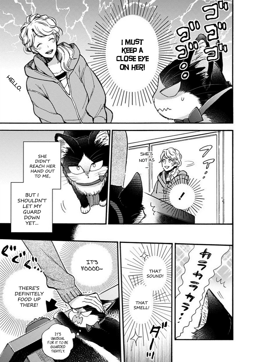 Doukyonin wa Hiza, Tokidoki, Atama no Ue. Chapter 8.5 page 4 - Chapter 8.5: Reciprocated Thoughts [Haru Edition]