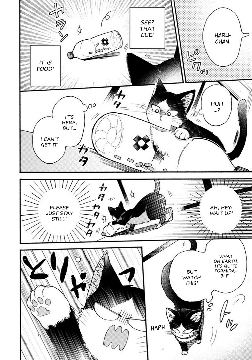 Doukyonin wa Hiza, Tokidoki, Atama no Ue. Chapter 8.5 page 5 - Chapter 8.5: Reciprocated Thoughts [Haru Edition]