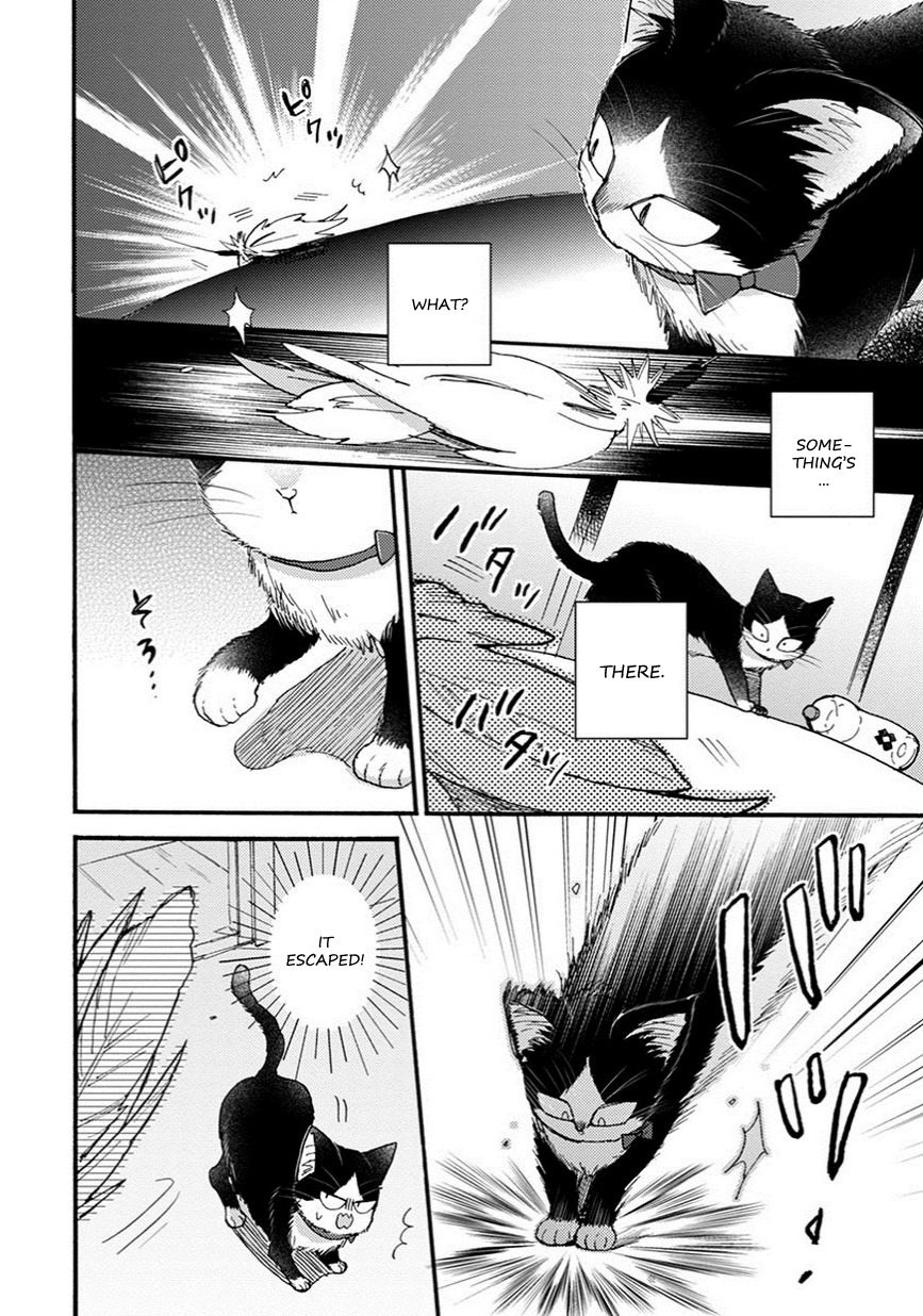 Doukyonin wa Hiza, Tokidoki, Atama no Ue. Chapter 8.5 page 7 - Chapter 8.5: Reciprocated Thoughts [Haru Edition]