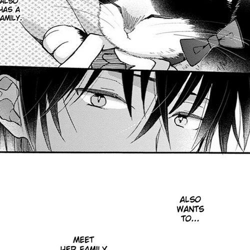 Doukyonin wa Hiza, Tokidoki, Atama no Ue. Chapter 8: Reciprocated Thoughts cover