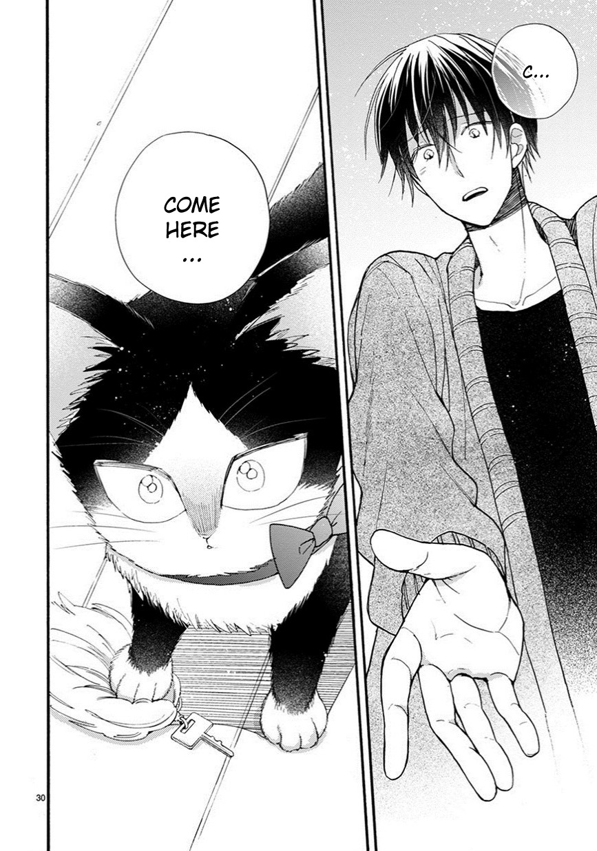 Doukyonin wa Hiza, Tokidoki, Atama no Ue. Chapter 9.5 page 15 - Chapter 9.5: Things I Want to Tell You [Haru Edition]