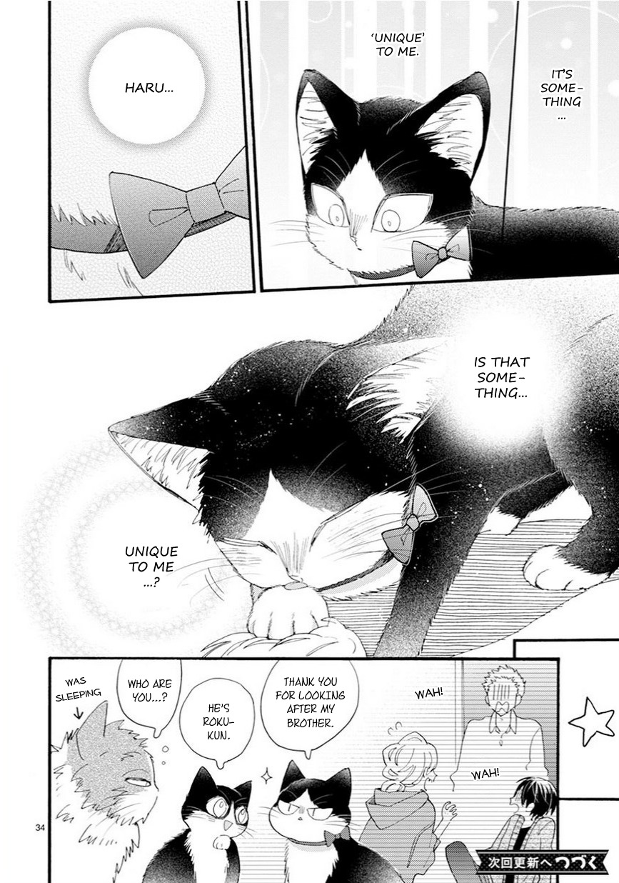 Doukyonin wa Hiza, Tokidoki, Atama no Ue. Chapter 9.5 page 19 - Chapter 9.5: Things I Want to Tell You [Haru Edition]