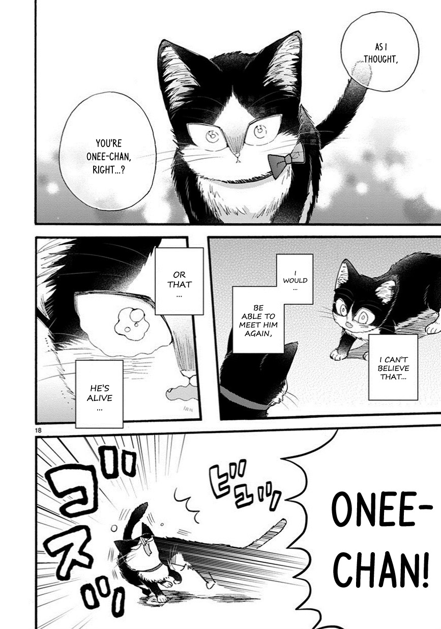 Doukyonin wa Hiza, Tokidoki, Atama no Ue. Chapter 9.5 page 3 - Chapter 9.5: Things I Want to Tell You [Haru Edition]