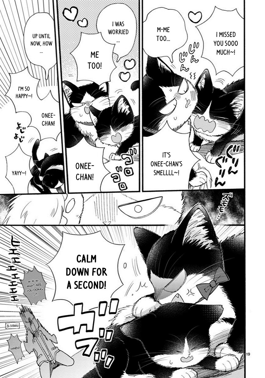 Doukyonin wa Hiza, Tokidoki, Atama no Ue. Chapter 9.5 page 4 - Chapter 9.5: Things I Want to Tell You [Haru Edition]