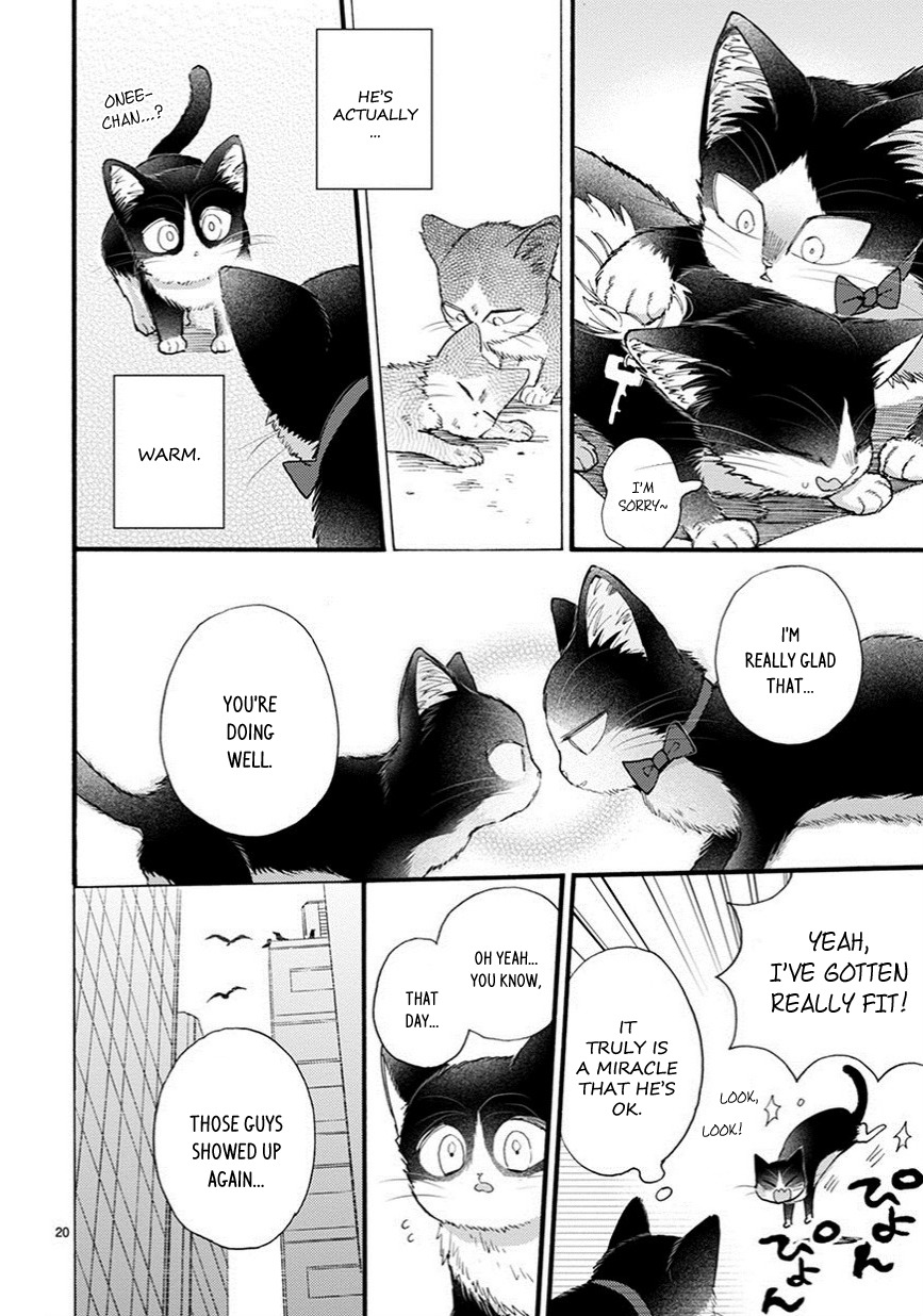 Doukyonin wa Hiza, Tokidoki, Atama no Ue. Chapter 9.5 page 5 - Chapter 9.5: Things I Want to Tell You [Haru Edition]