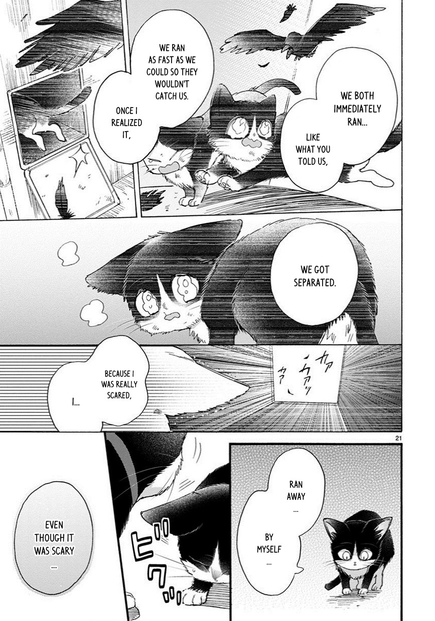 Doukyonin wa Hiza, Tokidoki, Atama no Ue. Chapter 9.5 page 6 - Chapter 9.5: Things I Want to Tell You [Haru Edition]