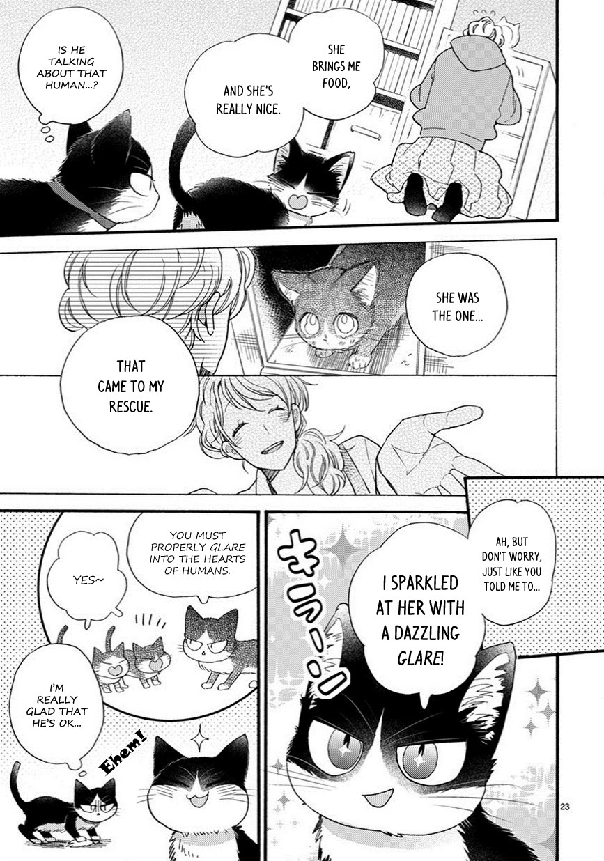 Doukyonin wa Hiza, Tokidoki, Atama no Ue. Chapter 9.5 page 8 - Chapter 9.5: Things I Want to Tell You [Haru Edition]