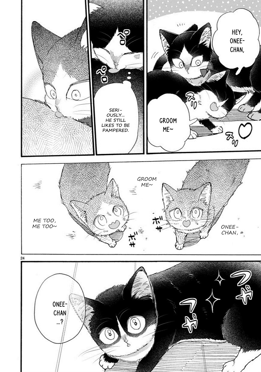 Doukyonin wa Hiza, Tokidoki, Atama no Ue. Chapter 9.5 page 9 - Chapter 9.5: Things I Want to Tell You [Haru Edition]